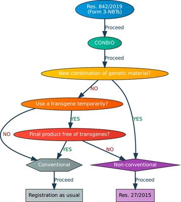 Regulatory landscape for new breeding techniques (NBTs): insights from Paraguay